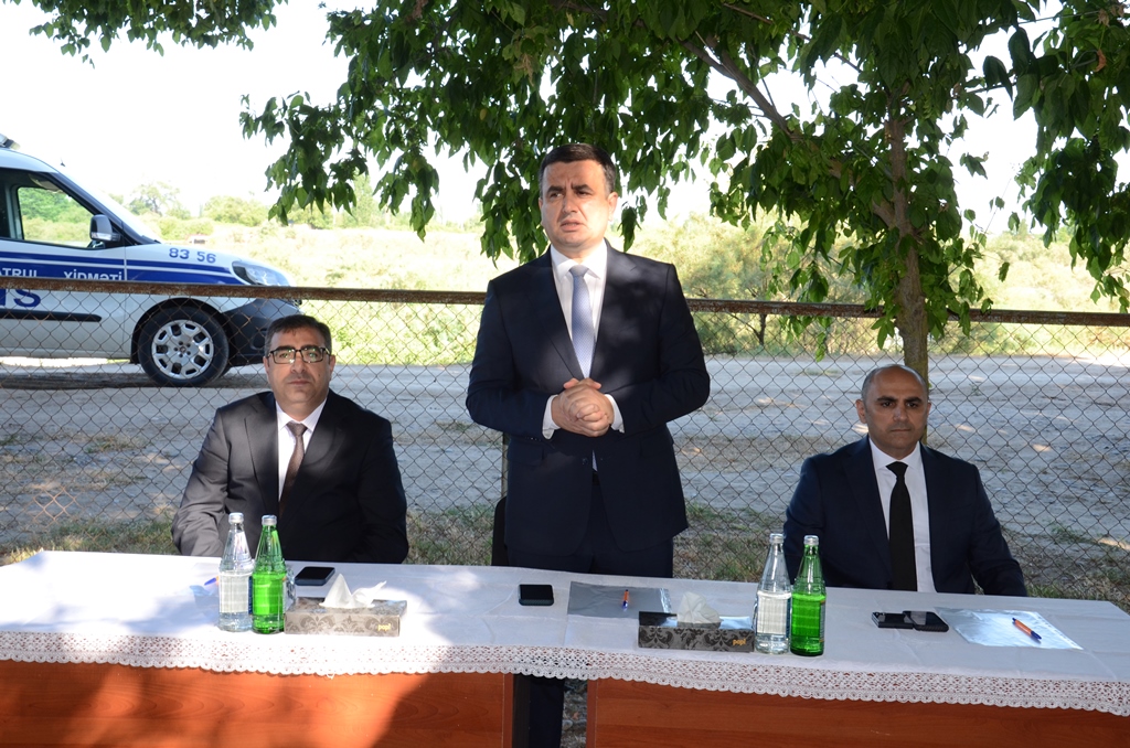 DSC_2985.JPG