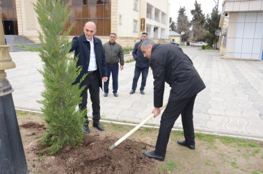 Saatlı rayonunda “Şəhərsalma və Memarlıq İli” ilə əlaqədar ağacəkmə aksiyası keçirilib.