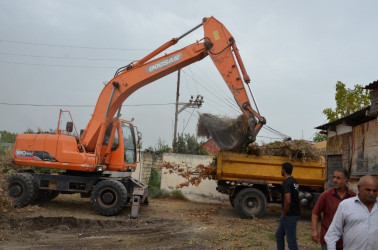 Saatlıda “Yaşıl dünya naminə həmrəylik ili” çərçivəsində növbəti iməcilik keçirilib