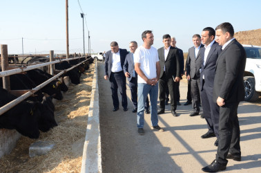 Saatlıda kənd təsərrüfatının və emal sahələrinin inkişafı üzrə layihələrə baxış keçirilib, Dövlət Proqramından irəli gələn məsələlər müzakirə olunub