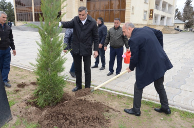 Saatlı rayonunda “Şəhərsalma və Memarlıq İli” ilə əlaqədar ağacəkmə aksiyası keçirilib.