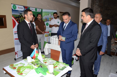 Saatlıda “Aqrar Biznes Festivalı” çərçivəsində toxum sərgi-satış yarmarkası və panel müzakirəsi keçirilib