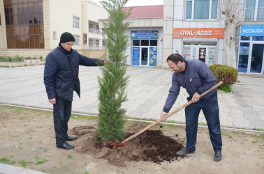 Saatlı rayonunda “Şəhərsalma və Memarlıq İli” ilə əlaqədar ağacəkmə aksiyası keçirilib.