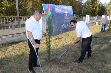 27 Sentyabr – Anım Günü ilə əlaqədar Saatlı rayonunda ağacəkmə aksiyası keçirilib