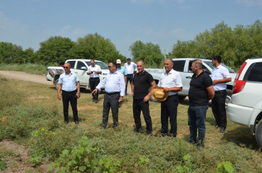 Saatlı rayonunun Nəsimikənd kəndində fermerlərlə maarifləndirici görüş keçirilib