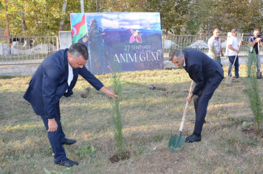 27 Sentyabr – Anım Günü ilə əlaqədar Saatlı rayonunda ağacəkmə aksiyası keçirilib