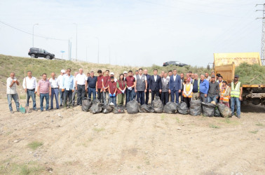 Saatlıda “Yaşıl dünya naminə həmrəylik ili” çərçivəsində növbəti iməcilik keçirilib