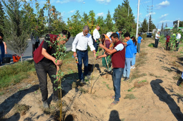 Saatlı rayonunda "27 sentyabr - Anım Günü" ilə əlaqədar ağacəkmə aksiyası keçirildi