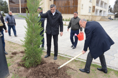 Saatlı rayonunda “Şəhərsalma və Memarlıq İli” ilə əlaqədar ağacəkmə aksiyası keçirilib.