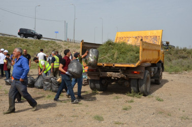 Saatlıda “Yaşıl dünya naminə həmrəylik ili” çərçivəsində növbəti iməcilik keçirilib