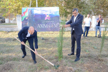 27 Sentyabr – Anım Günü ilə əlaqədar Saatlı rayonunda ağacəkmə aksiyası keçirilib