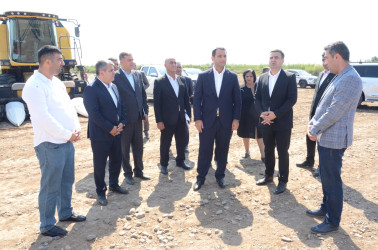 Saatlıda kənd təsərrüfatının və emal sahələrinin inkişafı üzrə layihələrə baxış keçirilib, Dövlət Proqramından irəli gələn məsələlər müzakirə olunub