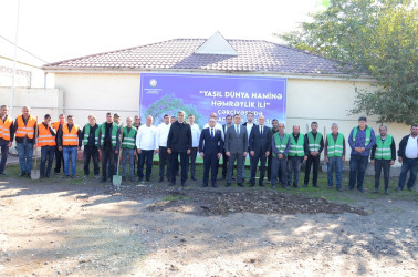 Saatlı rayonunda növbəti ağacəkmə aksiyası keçirilib