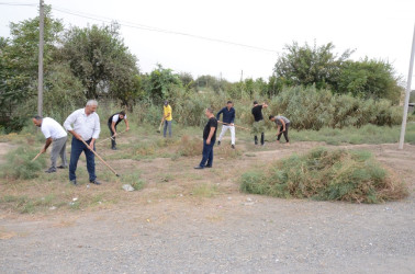 Saatlıda “Yaşıl dünya naminə həmrəylik ili” çərçivəsində növbəti iməcilik keçirilib