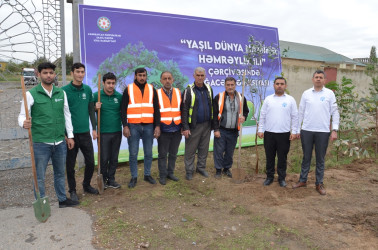 Saatlı rayonunda növbəti ağacəkmə aksiyası keçirilib