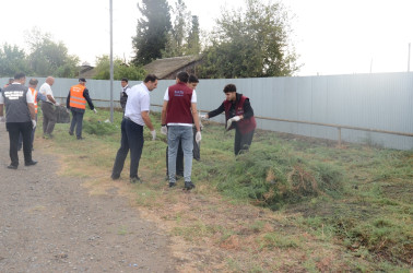 Saatlı rayonunda təmizlik aksiyası keçirilib